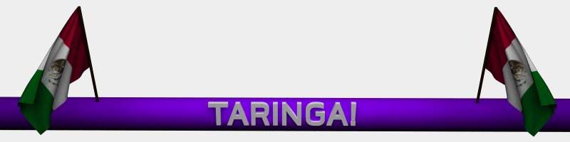 taringa taringa