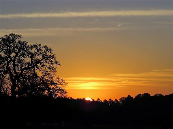 photo sunrise1_600_zps69fb4f6n.jpg