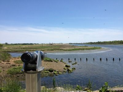 Telescopes at the Nature Reserve