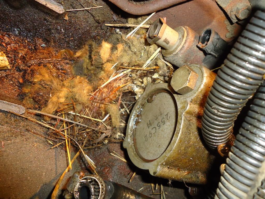 new guy with some questions | Ford Powerstroke Diesel Forum