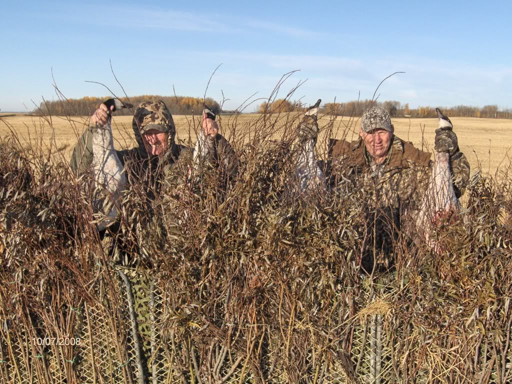 Best blind Duck Hunting Forum