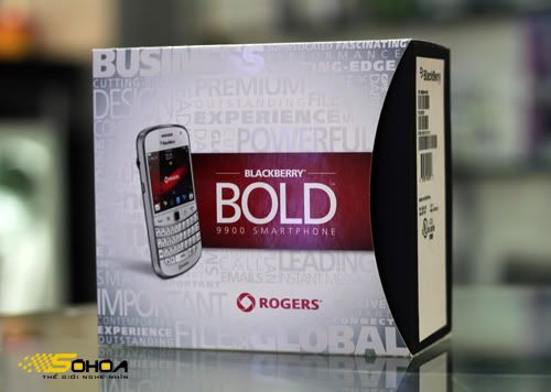 Bold-9900-01.jpg