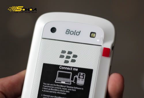 Bold-9900-10.jpg