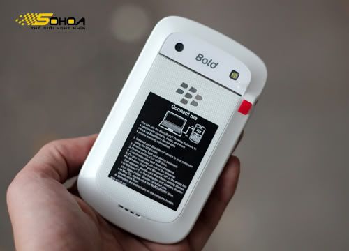 Bold-9900-11.jpg