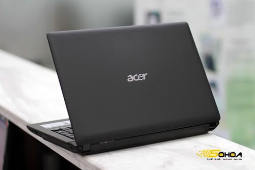 acer-2.jpg