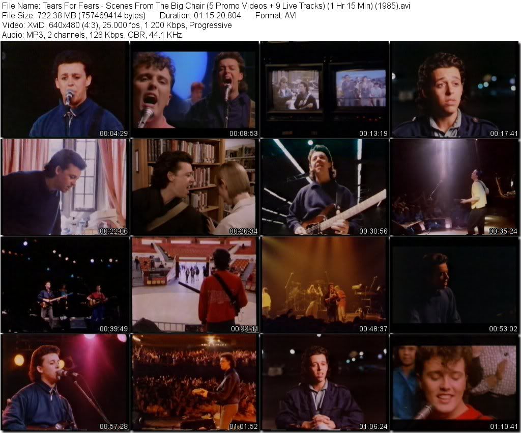 TearsForFears-ScenesFromTheBigChair5PromoVideos9LiveTracks1Hr15Min1985avi_tn.jpg