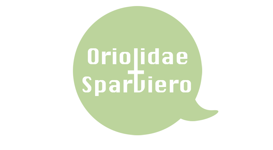 Oriolidae and Sparviero Scanlations