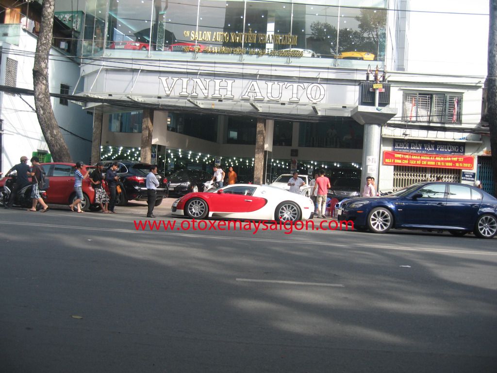Bugatti Veyron và sự hiếu kỳ của người hâm mộ - 3