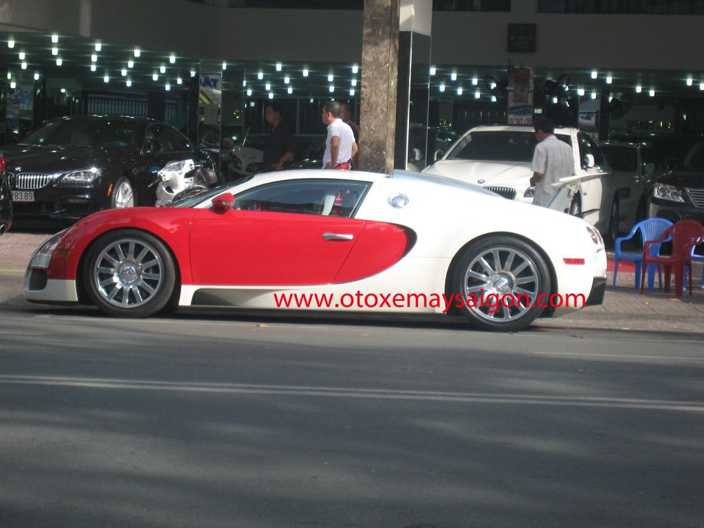 Bugatti Veyron và sự hiếu kỳ của người hâm mộ - 5