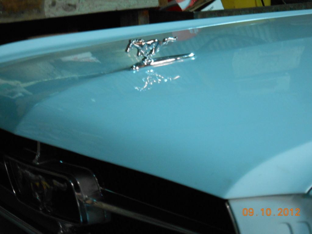 Mustang Hood Ornament Vintage Mustang Forums