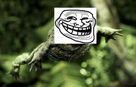 toad.png
