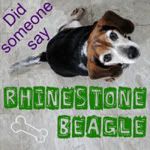 Rhinestone Beagle