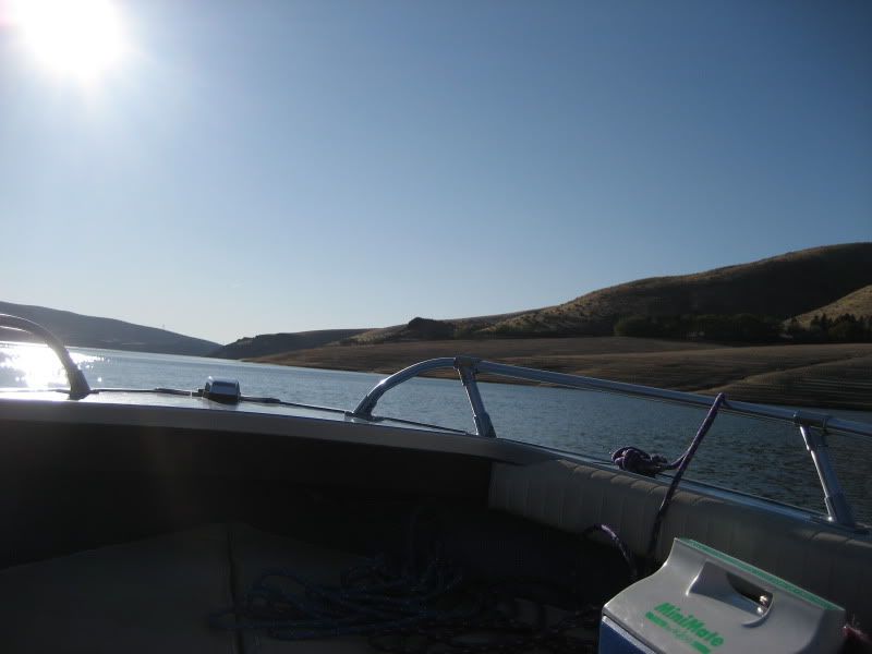IMG_4200.jpg