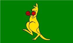 Kangaroo Boxing and Leadership Lessons