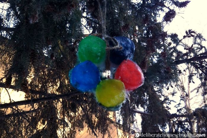 Ice ornaments - winter art to do with your homeschoolers. Ice ornaments - winter art to do with your homeschoolers.