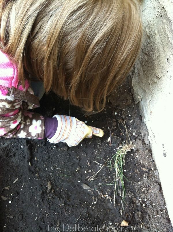 Every backyard needs a big pile of dirt to muck around in. http://thedeliberatemom.com