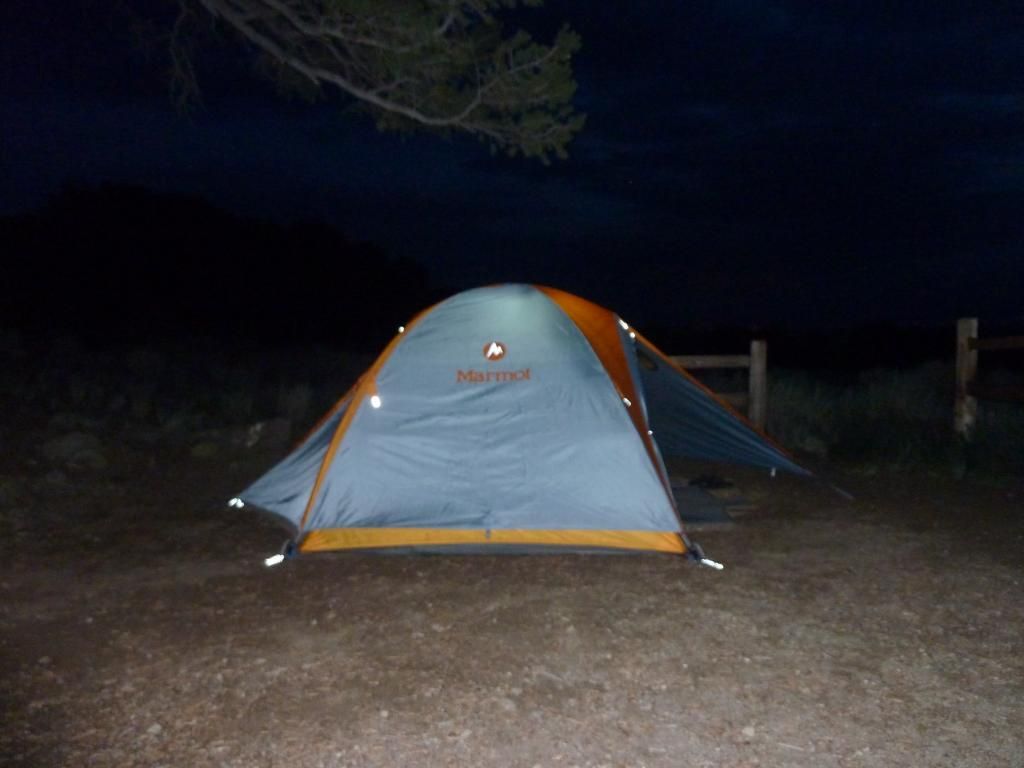 P1050011.jpg