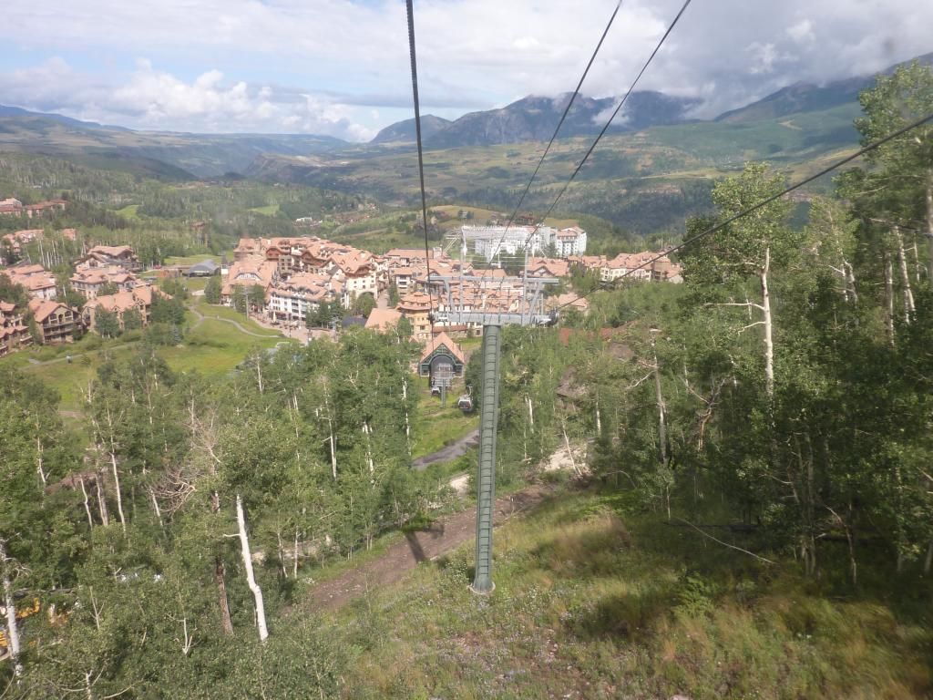 P1050027.jpg