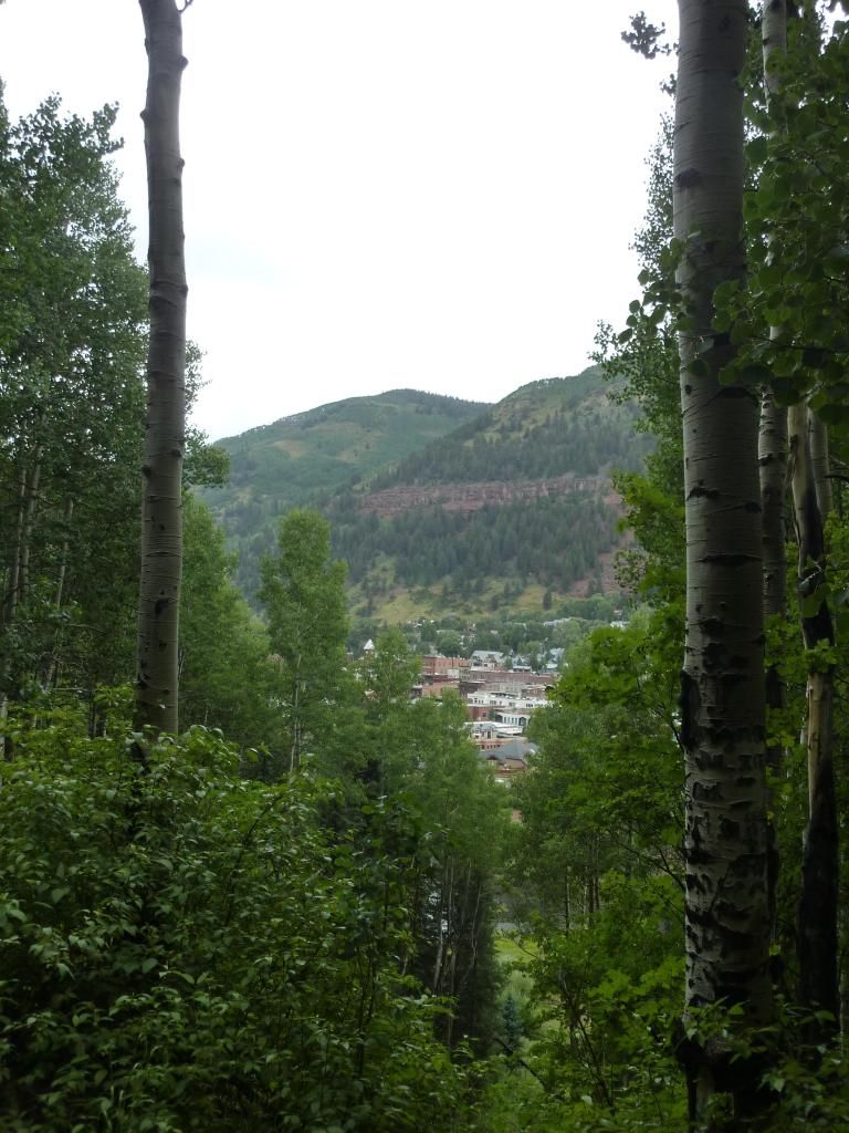 P1050066.jpg