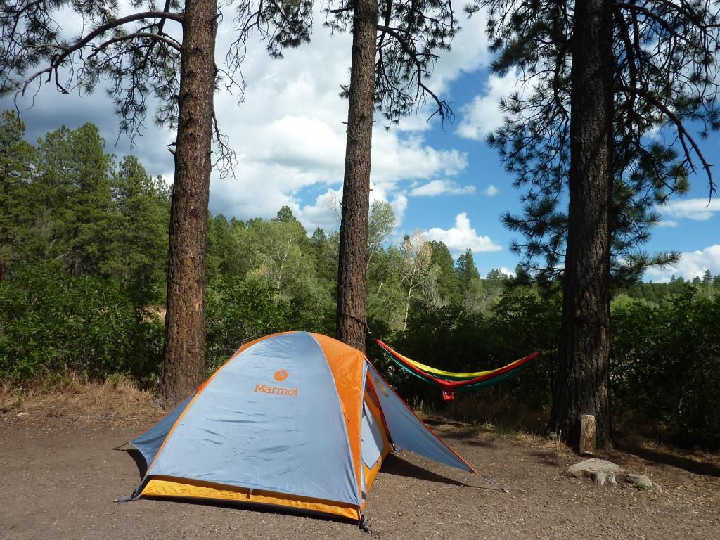 P1050082.jpg