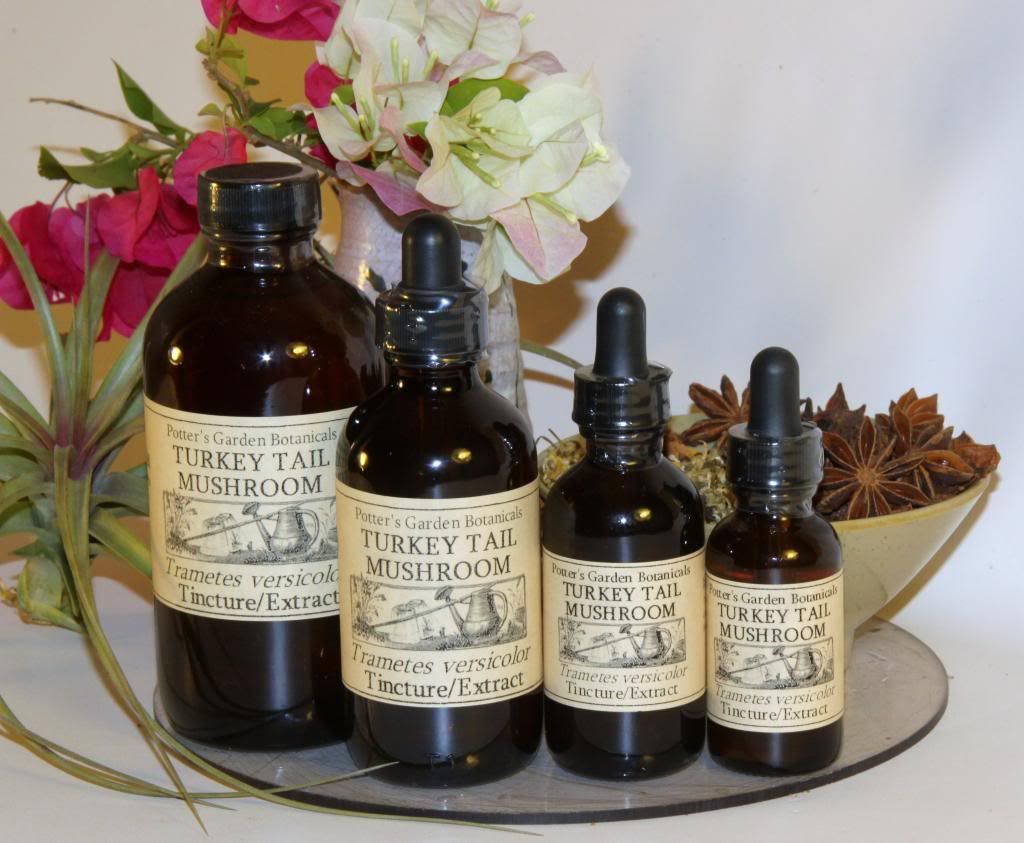 TURKEY TAIL MUSHROOM Tincture Extract Liquid strenghthens immune