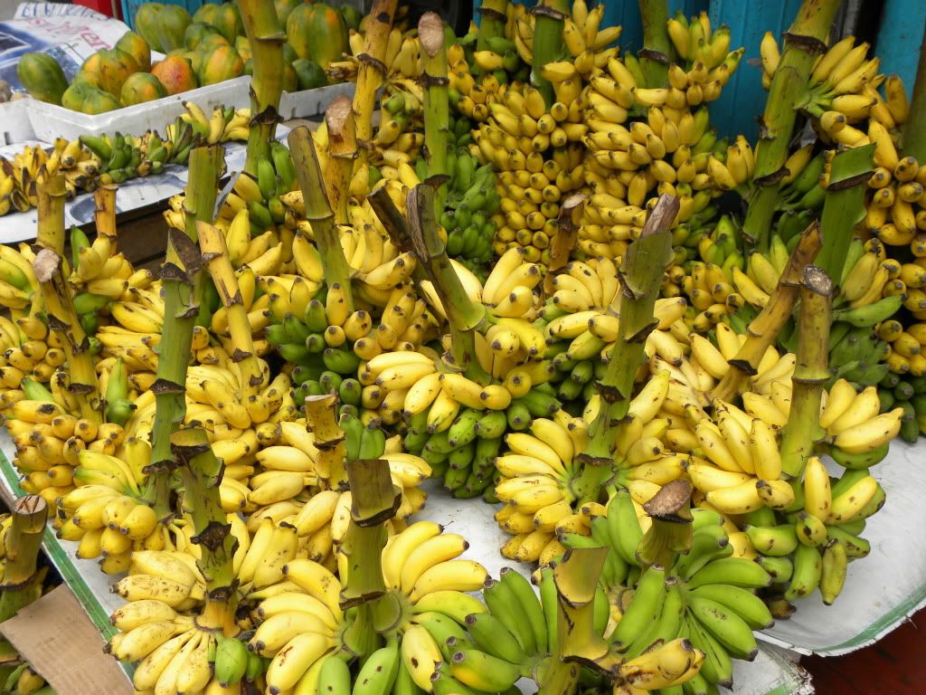 banane galle