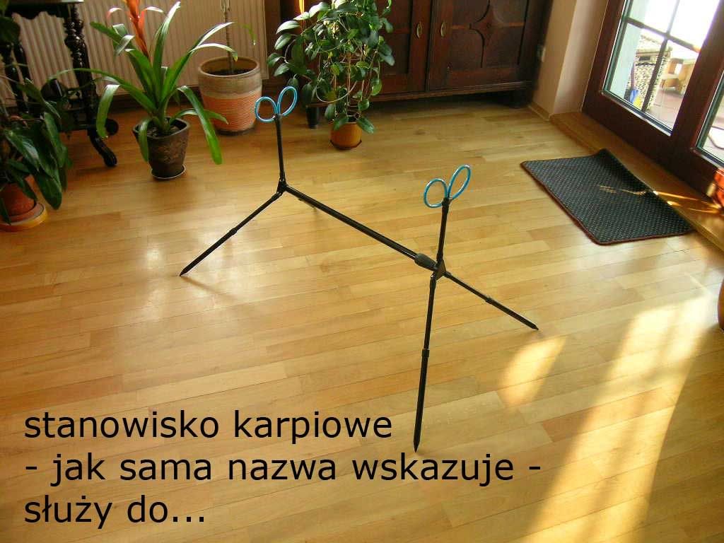 Dołączona grafika