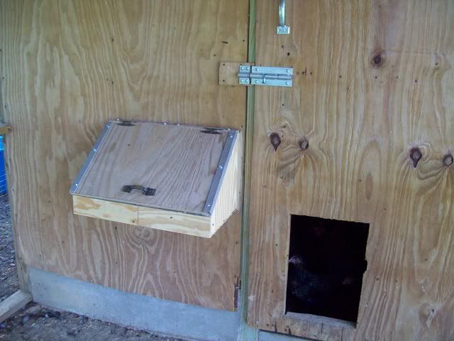nestbox001.jpg