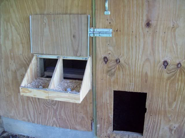 nestbox002.jpg