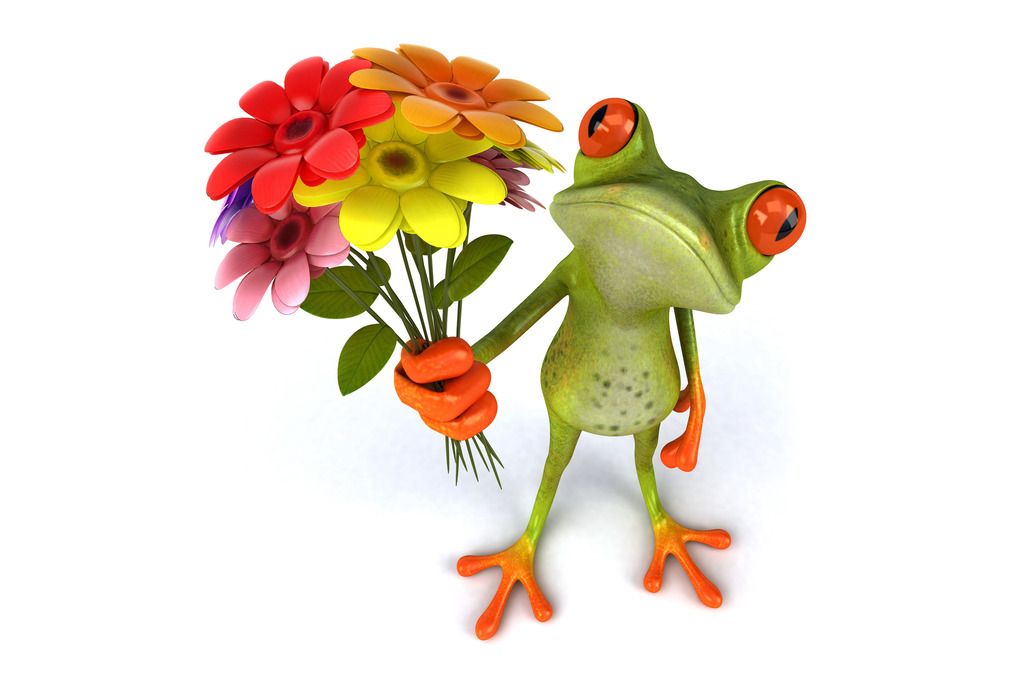  photo funny-3d-frog-desktop-background-601548_zps7cysfoxh.jpg