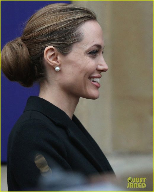 photo angelina-jolie-g8-foreign-ministers-conference-10_zps25bb3ebd.jpg