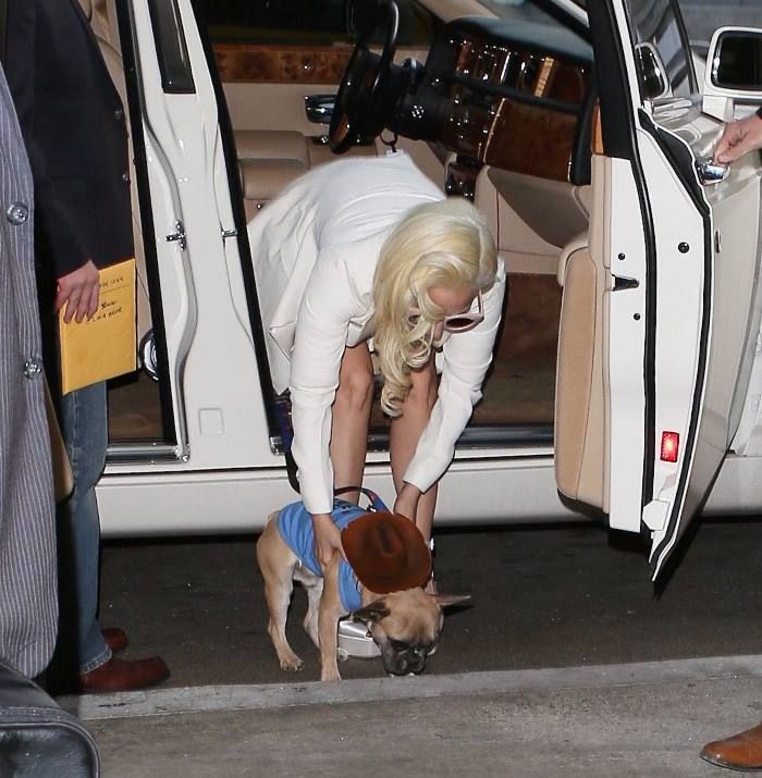 Леди Гага в LAX
