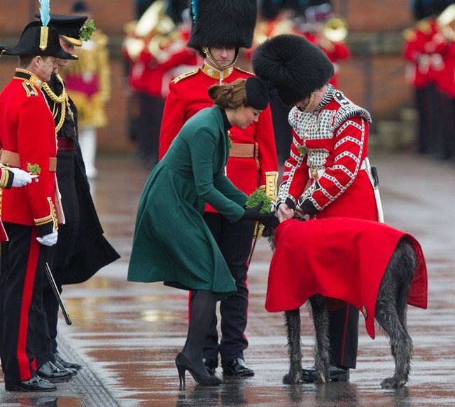  photo KM5_zps3a2e212d.jpg