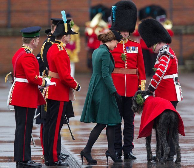  photo KM7_zps3df7affd.jpg