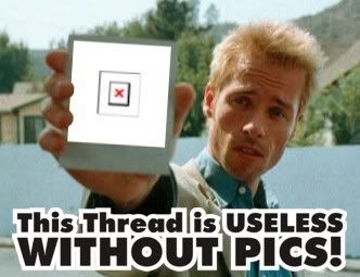 uselesswithoutpics.jpg