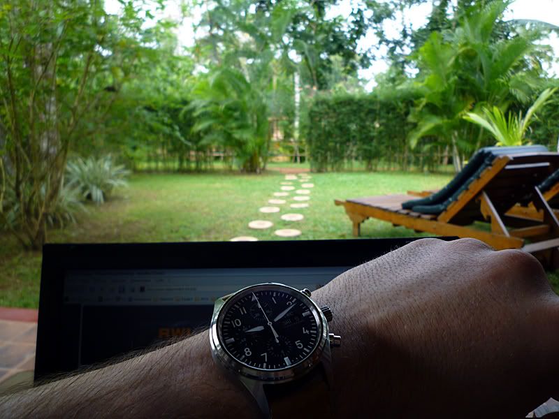 P1030183.jpg