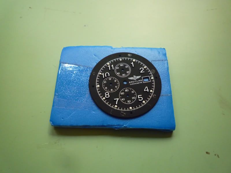 P1020331.jpg