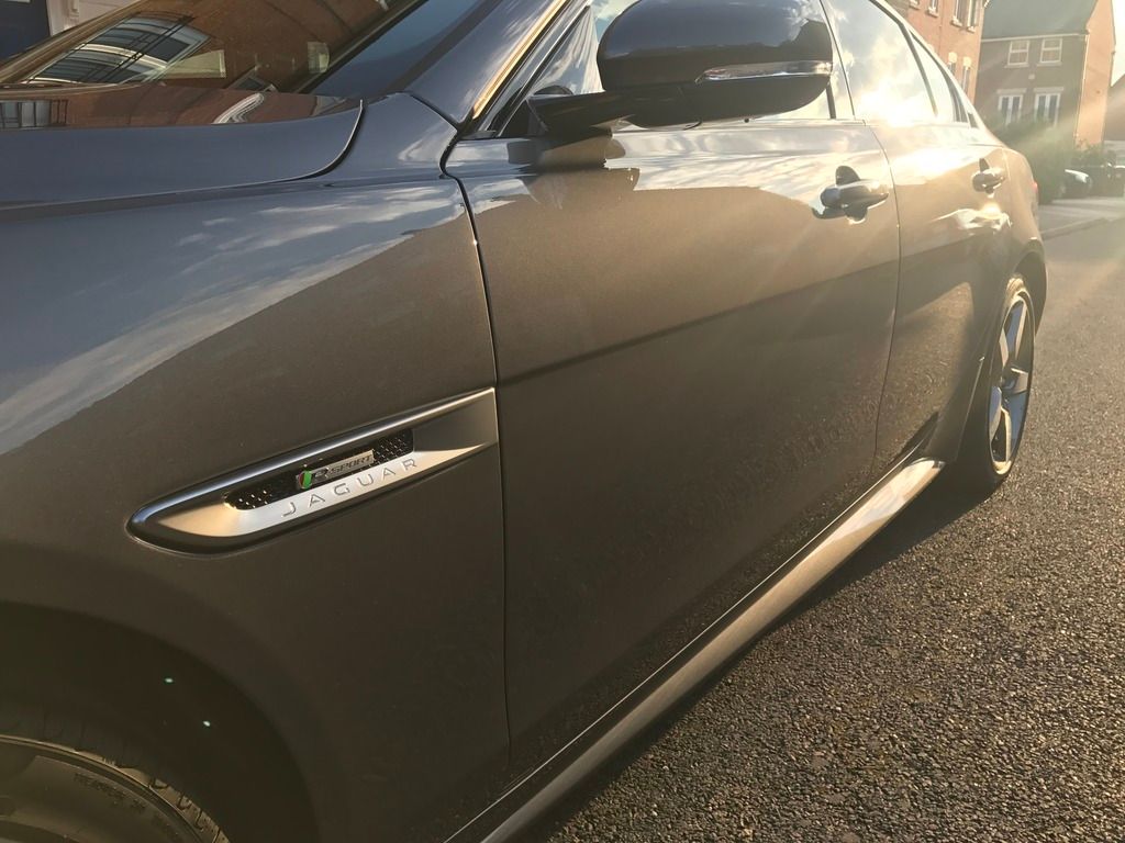 IMG_2566_zpsvlygd7k5.jpg~original