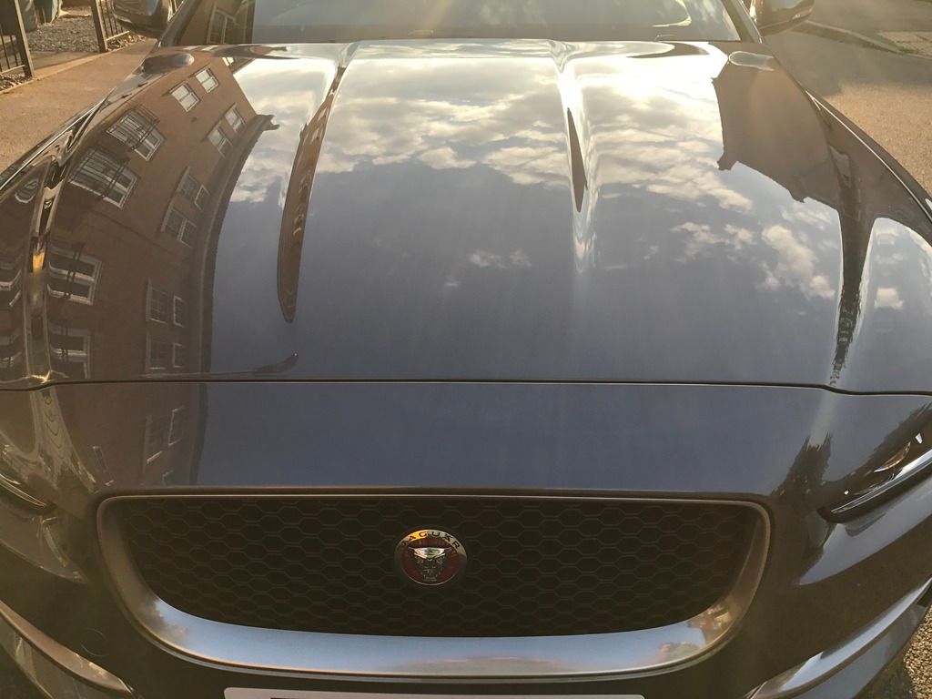 IMG_2581_zpsinl4sbba.jpg~original