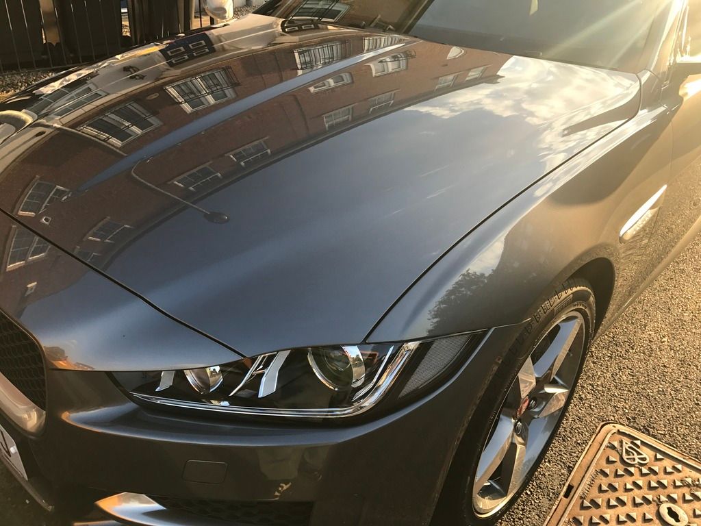 IMG_2582_zpstcwhxgz0.jpg~original