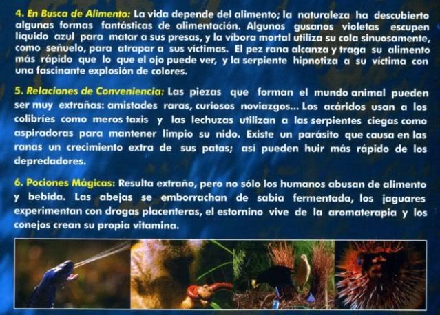 AS4 - Animales Sobrenaturales BBC (2003) [2 DVD9] [MG-FSV-FSN.dlc]