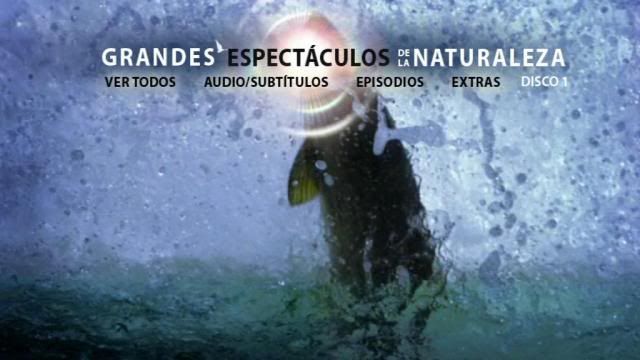 PDVD 000 44 - Grandes espectáculos de la naturaleza - BBC (2009) [2 DVD9] [FSV-MG-FSC.dlc]