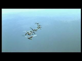 PDVD 001 34 - Las alas de la naturaleza (2002) [1 DVD9 + 1 DVD5] [FSV-MG-FNC.dlc]