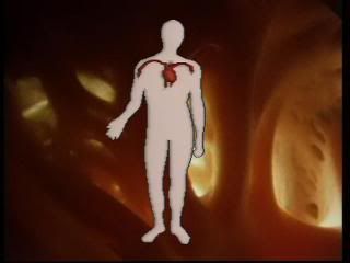 PDVD 003 45 - El Cuerpo Humano [3 DVD5] [Esp-Fran-Ing] [FSV-FSN-MG.dlc]