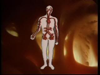 PDVD 004 45 - El Cuerpo Humano [3 DVD5] [Esp-Fran-Ing] [FSV-FSN-MG.dlc]