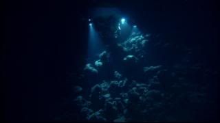 PDVD 007 19 - Misterios del océano (2005) [DVD9] [MG-FSV-FSN.dlc]
