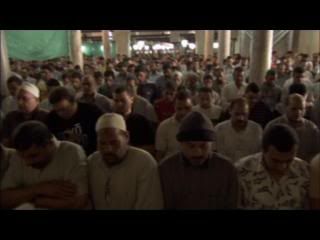 PDVD 009 15 - Atlas: Egipto (2009) (Discovery Ch.) [DVD5] [FSV-MG-FSN.dlc]