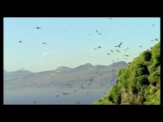 PDVD 014 11 - Las alas de la naturaleza (2002) [1 DVD9 + 1 DVD5] [FSV-MG-FNC.dlc]