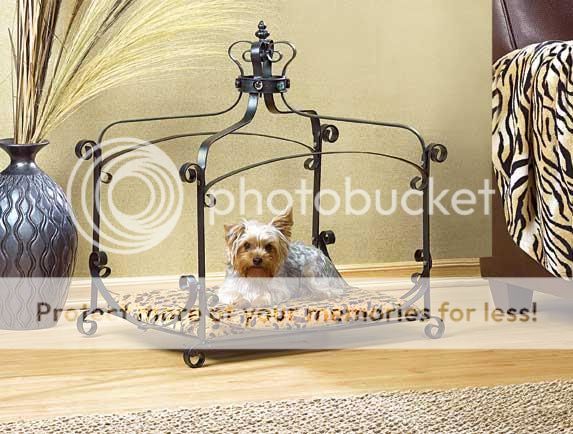 Little Small Dog/Cat Pet Bed Metal Off Floor & Canopy  