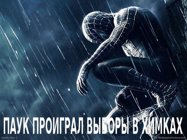 Химки, Паук Химки, Паук